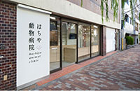 はちや動物病院